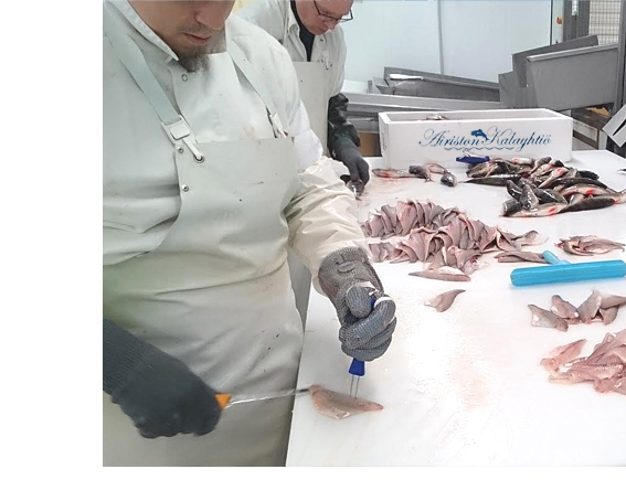 Fish preparation